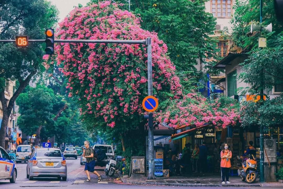 Tropical Land Little Ở trọ Hà Nội
